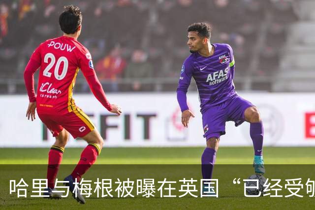 哈里与梅根被曝在英国“已经受够了”，坦言想念美国加州的“家”